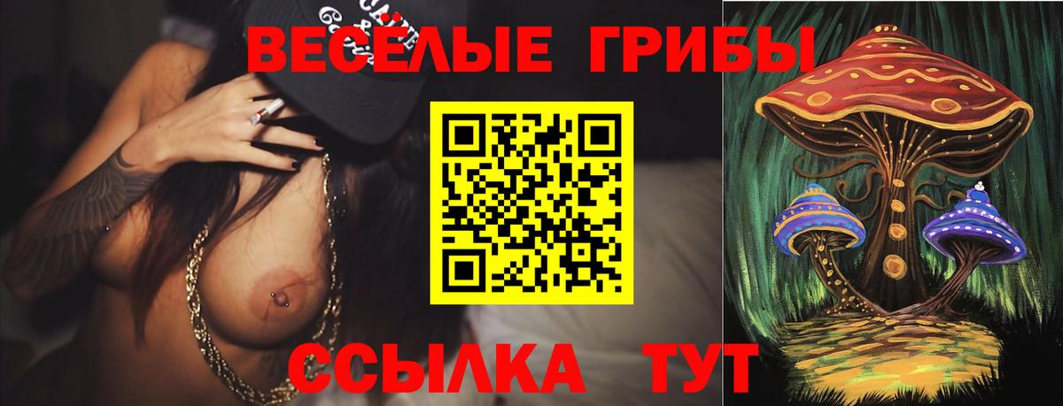 Псилоцибиновые грибы MAGIC MUSHROOMS  Вход с VPN  Комсомольск-на-Амуре 