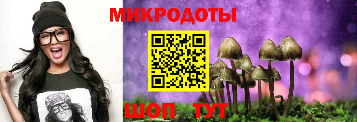 Псилоцибиновые грибы мухоморы Комсомольск-на-Амуре
